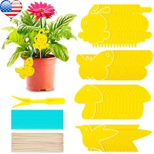 60 Pack Fruit Sticky Fly Traps Indoor Gnat Trap with Bandage Wooden Stick Tools