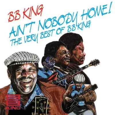 CD B.B. King Aint Nobody Home! The Very Best Of BB King MCA Records
