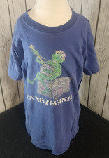 Vintage 70s Kermit the Frog Pennsylvania T Shirt Champion L 14-16 USA Made Kids