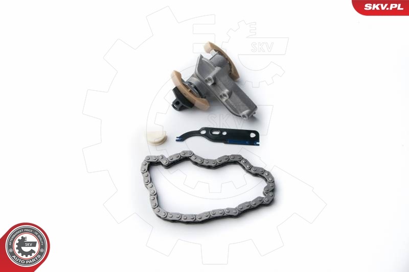 2x ✅Fits SKV GERMANY 21SKV010 TENSIONER KIT  ⭐UK Seller⭐