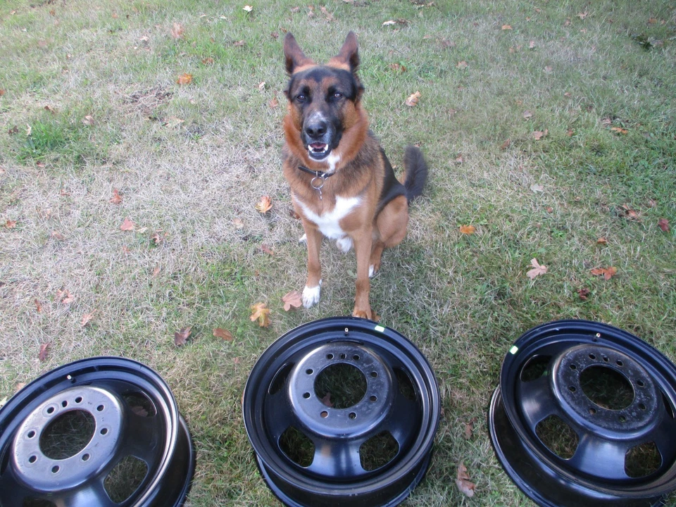 17'' Dodge Ram 3500 FACTORY OEM Black Dually Wheel DRW 2003-2018 52121267AC 2191 - Image 4 of 4