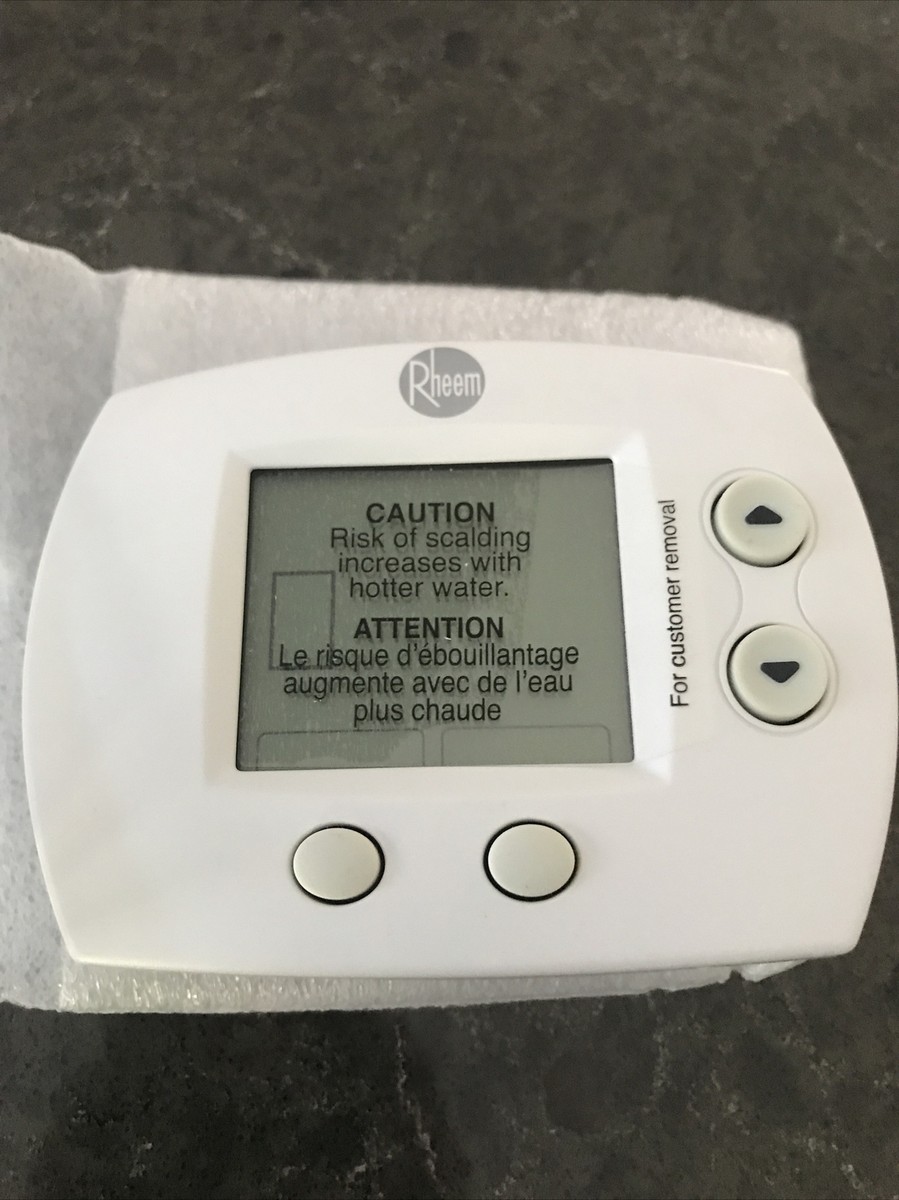 Rheem AP14697A Tankless Water Heater Remote Control Display Panel