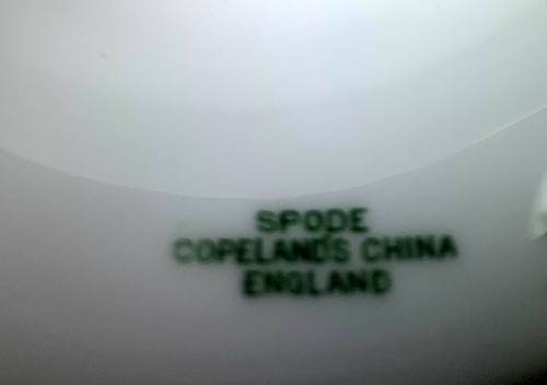 SPODE MARITIME ROSE R4118 DINNER PLATE(s) 10 3/4" EXCELLENT - Picture 2 of 5