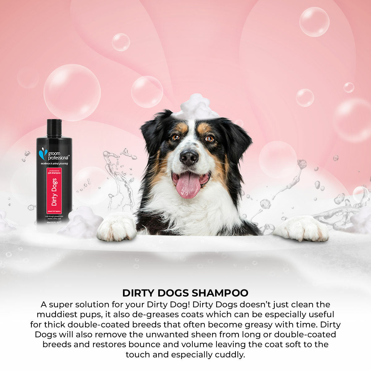 Dogs Groomers Should You Use Human Shampoo On Dogs Pet Grooming Is