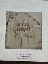1900s Iowa Hunting Trophy Photo Game Display Rifle Leroy Porter Shenandoah