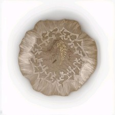 Antique Vintage Framed Jamaican Fern Doily Wall Art Textiles Crochet