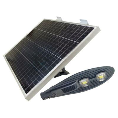 eLEDing 50W Solar Panel and 30W Cobra Head Light Solar Power SMART in Silver