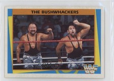 1995 Merlin WWF German The Bushwhackers #141 0w6