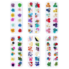 Dried Flowers for Resin Craft Nail Art Mix Mini Flowers 6 Boxes, 260 PCS 