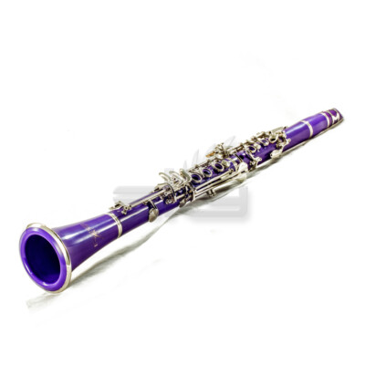 UPGRADED! New Band Approved Sky Purple Clarinet w Mouthpiece Reeds