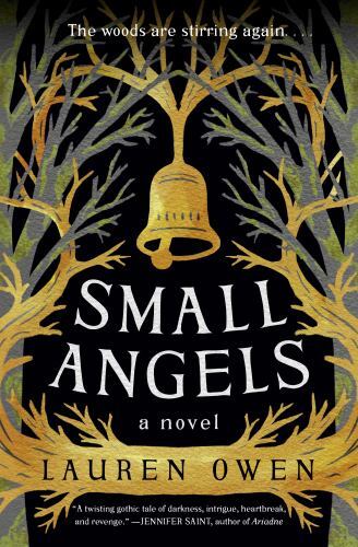Small Angels: A Novel - 0593242203, Lauren Owen, hardcover, new