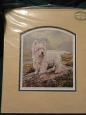 West Highland Terrier Westie Limited Edition Art Print UK Artist John Wood #18*