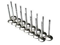 Brian Crower 29mm Exhaust Valves for Mitsubishi Lancer Evolution X