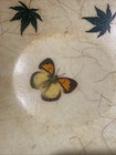 VTG MCM 1960s Fiberglass Salad Bowl W/ Butterflies 12” Mid-Century Modern Retro — photo 2
