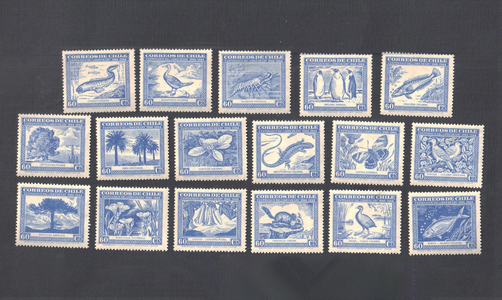 Chile Sc# 254a - 254y Mint Light Hinged MLH 1948 Flora Fauna Stamp Set