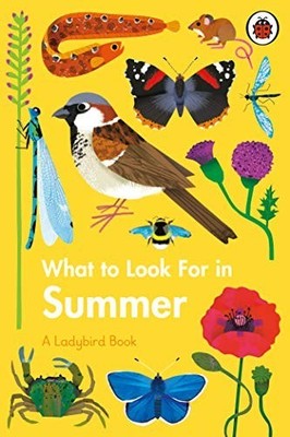 What to Look For in Summer (A Ladybird Book) by Jenner, Elizabeth Hardback Book