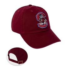 Desert Cactus South Carolina State University Baseball Hat SCSU Bulldogs Brim...