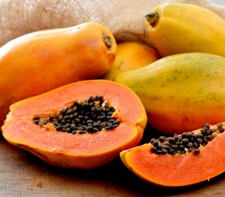 50 SOLO PAPAYA SEEDS - Organic Hawaiian Grown Delicious Fast Free Ship