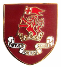 British Army The Duke of Wellington's Regiment Pin Badge - MOD Approved
