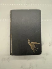 KAMI-NO-MICH The Way of the Gods in Japan, Hope Huntly, Rebman Limited, 1910