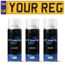 Aerosol Spray Paint Kit Mixed By Car Registration Reg VIN Plate Chassis Number
