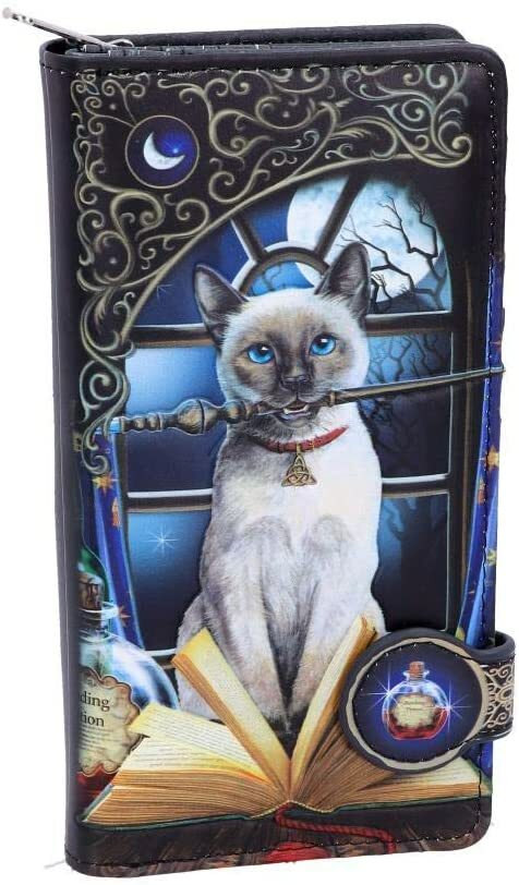 Nemesis Now B4865P9 Кошелек Lisa Parker с тиснением Фокус-Покус 185 см искусственная кожа Черный 6590₽