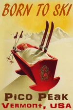 Born To Ski Pico Peak Vermont Baby Cradle Skis USA Vintage Poster Repro FREE S/H