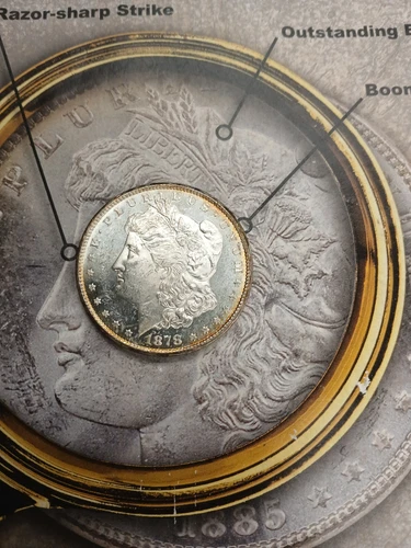 Silver 1878-CC  Morgan dollar Proof Like TP-8302