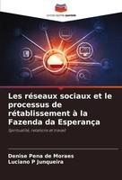 Denise Pena De Moraes (U. A.) | Les RéSeaux Sociaux Et Le Processus De...
