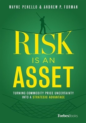 Wayne Penello Andrew P. Furman Risk Is An Asset (Gebundene Ausgabe)