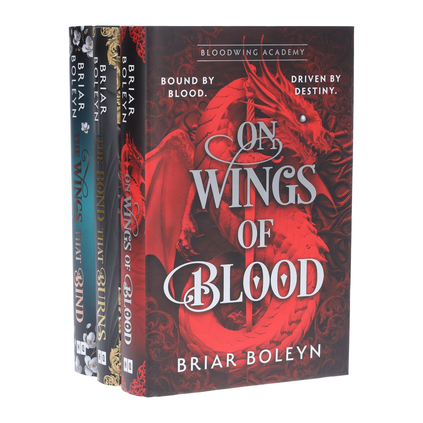 Harpercollins Publishers Gray Bloodwing Academy Series By Briar Boleyn 3 Books Collection Set - Fiction - Hardback - Image 3