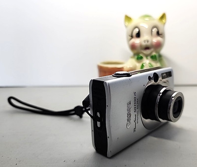 Canon PowerShot SD1100 IS ELPH 8MP Digital Camera Silver Battery/SD Card TESTED