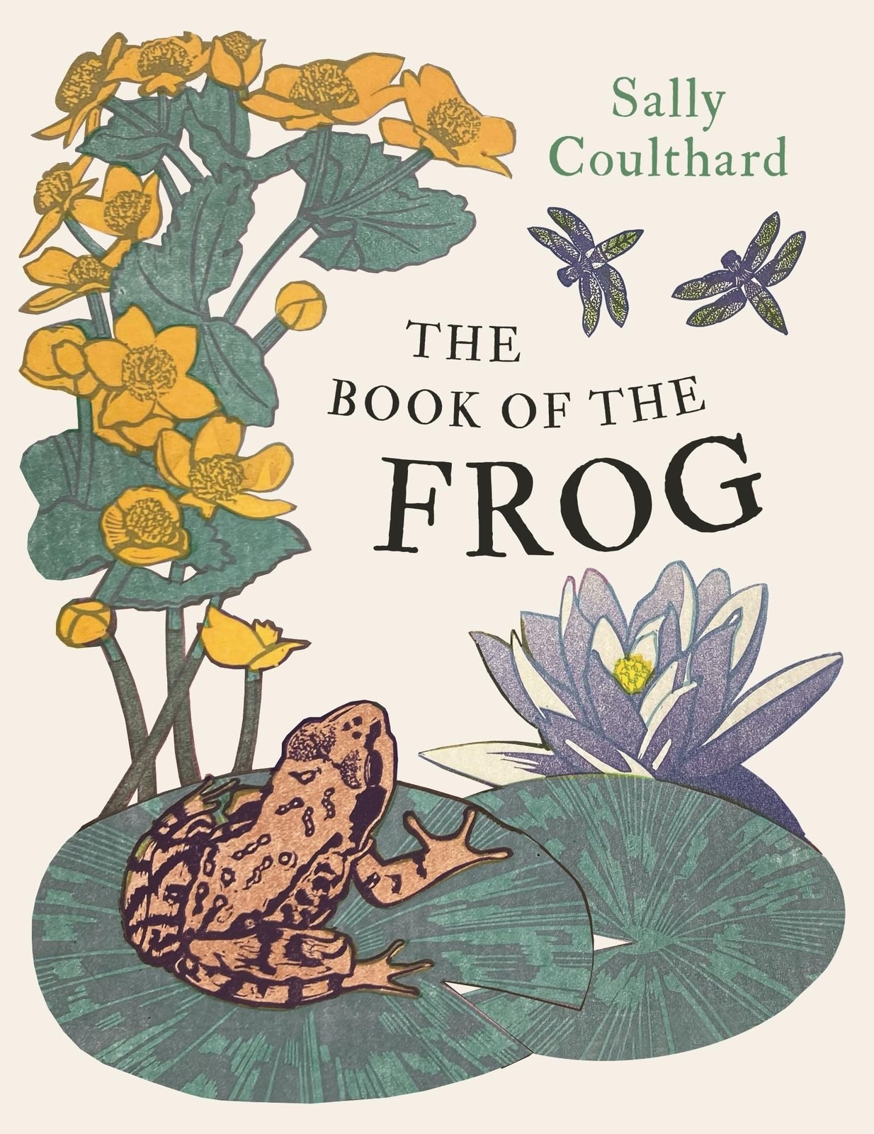 The Book of the Frog by Sally Coulthard - 9781803288017 - Image 4