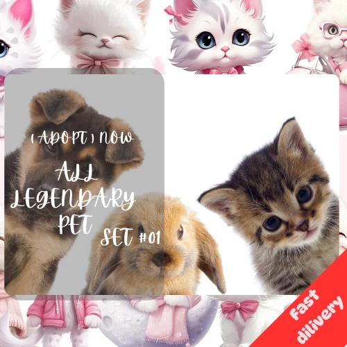 🌸 Adopt 🖤 All Stuff 🖤 Today!🌸2026 🖤 M 💜 N 💚 Fast Delivery Top Pick Today