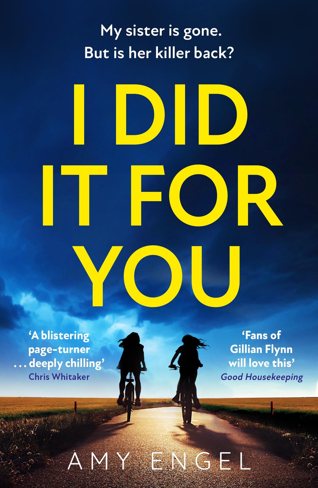 I Did It For You, Fiction, Paperback, Amy Engel - Image 7