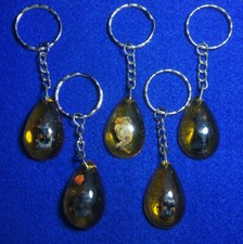 Insect Crab Bug Keyring Key Chain