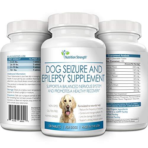 Nutrition Strength Dog Seizure Support, Supplement for Epilepsy in Dogs 120Ct eBay