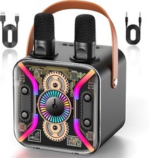 Karaoke Machine for Adults with Two Karaoke Microphone Wireless, PA system Black