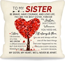 Sister Gift for Women Sister Elephant Decorative Throw Pillow Cover Presents for