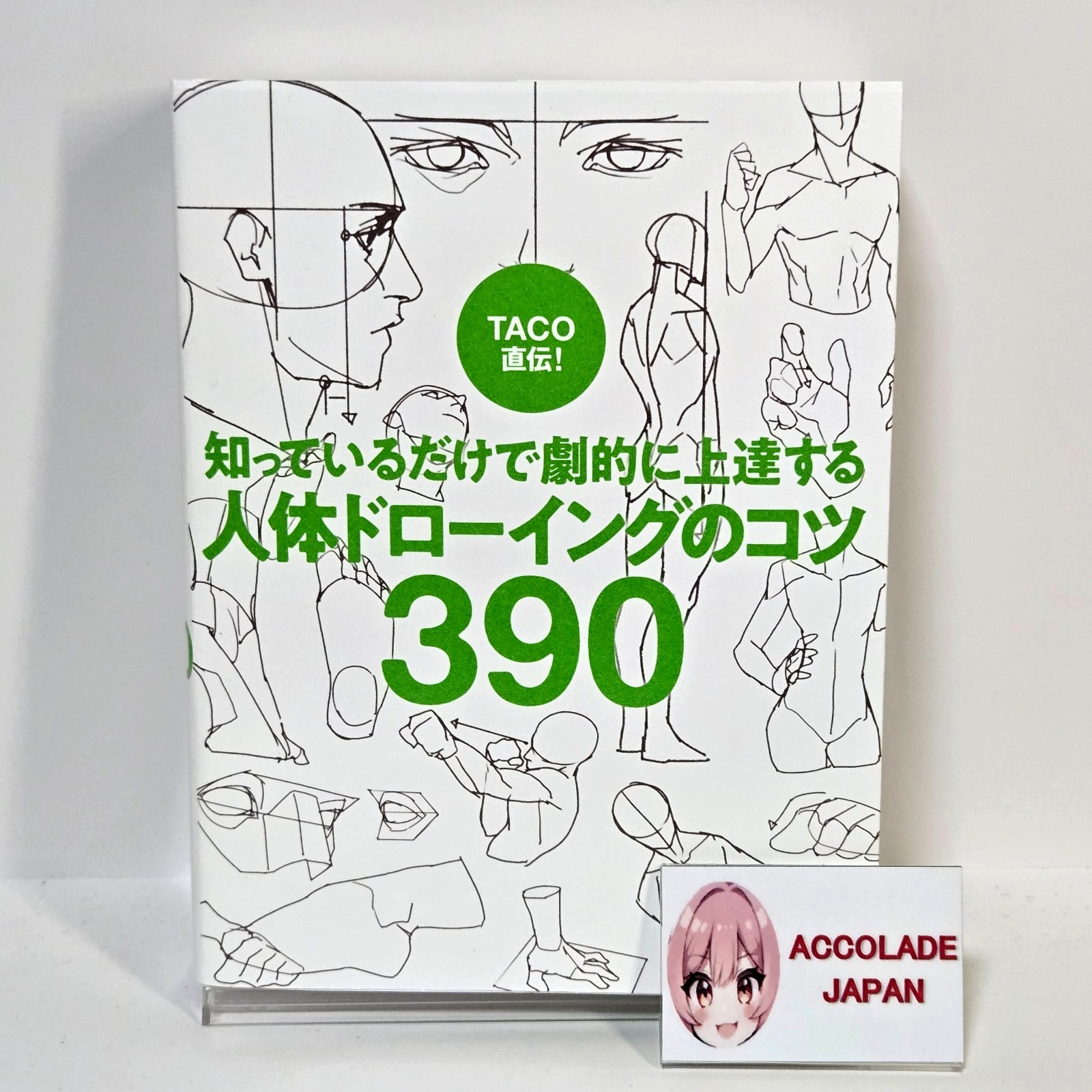 Directly from TACO! 390 tips for dramatically improving your human body drawing