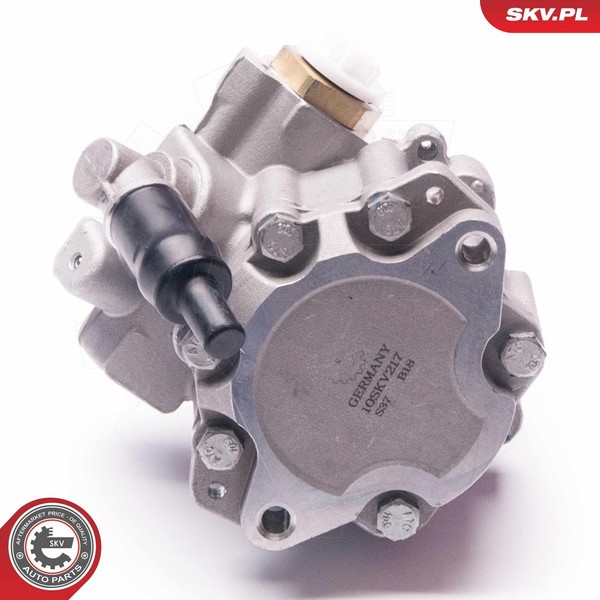 Esen Skv 10SKV217 Hydraulikpumpe, Lenkung Passend FüR Fiat Lancia-image