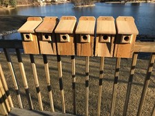 6 Pack Cedar Bluebird Bird House 3/4" THICK Cedar Birdhouse W/ Predator Guard 