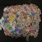 Foto 3 di 13