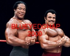 TONY ATLAS & ROCKY JOHNSON WRESTLER 8 X 10 WRESTLING PHOTO WWF NWA