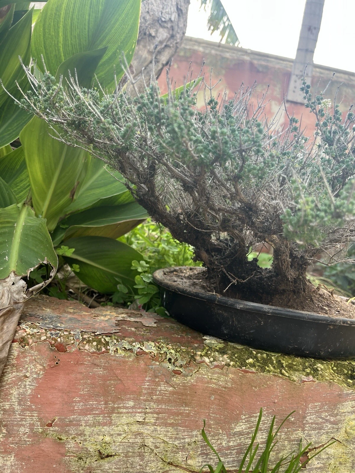 Foto 1 di 6