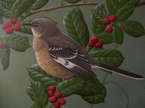 Original Acrylic on Board Painting by Steve Dillard "Winter Mockingbird" - Picture 4 of 9