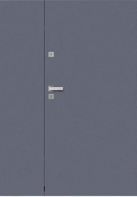 Porte d'entrée à deux vantaux, porte en acier, porte extérieure, porte... - Photo 1/4