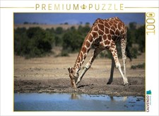 CALVENDO Puzzle Giraffen Im Flussbett 1000 Teile Lege-Gr e 64x48cm Foto-Puz