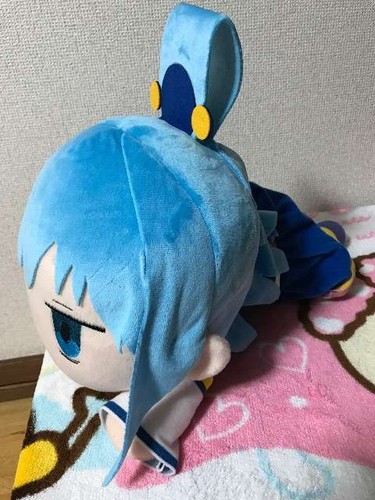 nesoberi aqua
