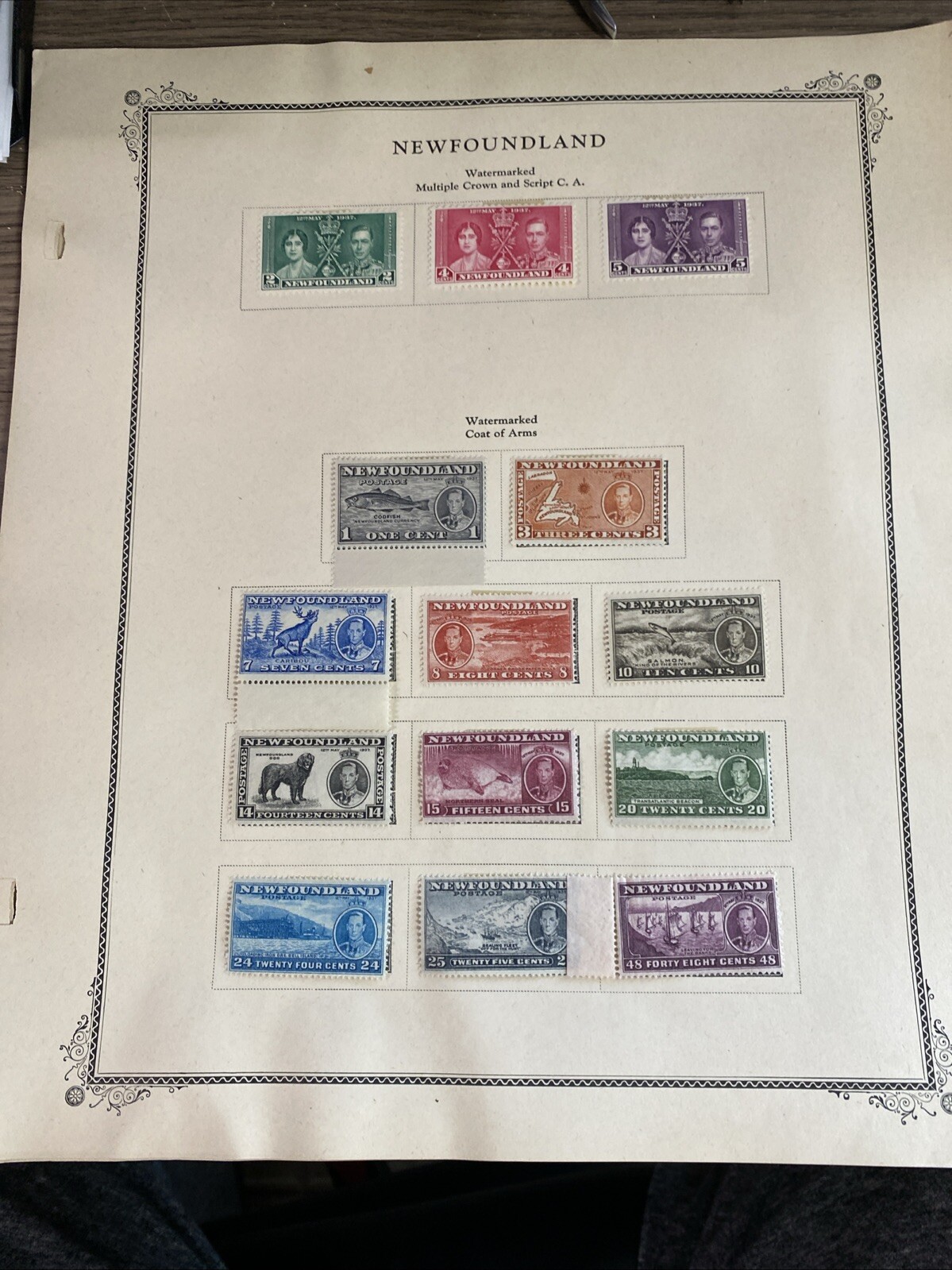 Picture 13 of 21